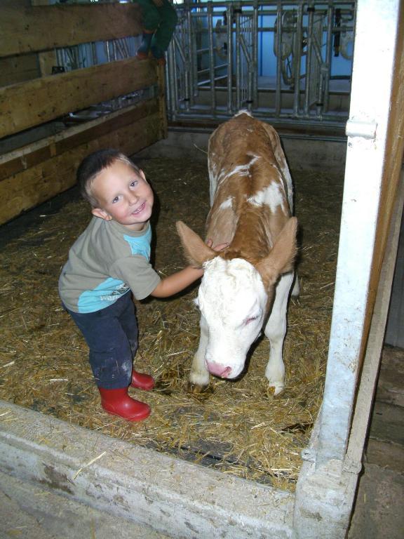 Bauernhof Hundbichl Séjour à la ferme *